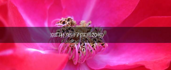 京口补充句子(实用20句),第1张