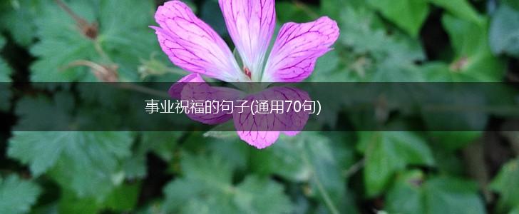 事业祝福的句子(通用70句),第1张