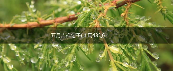 五月吉祥句子(实用43句),第1张
