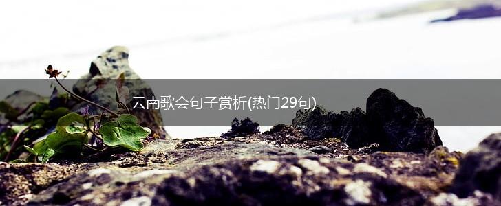 云南歌会句子赏析(热门29句),第1张