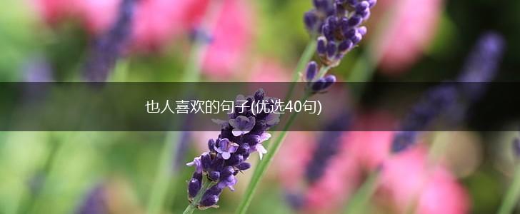 也人喜欢的句子(优选40句),第1张