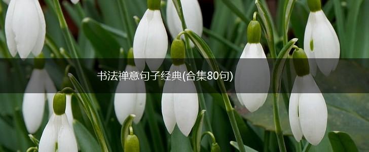 书法禅意句子经典(合集80句),第1张