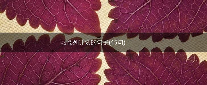 习惯列计划的句子(45句),第1张
