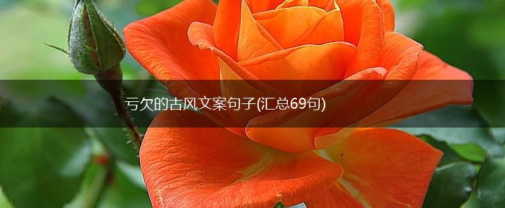 亏欠的古风文案句子(汇总69句),第1张
