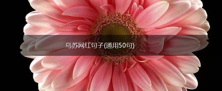 乌苏网红句子(通用50句),第1张