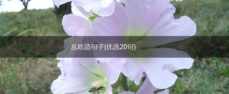 乱吃造句子(优选20句),第1张