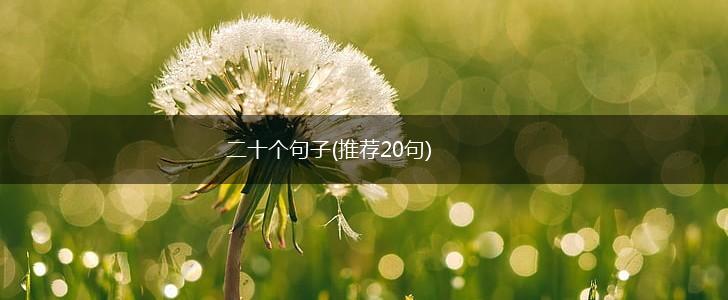 二十个句子(推荐20句),第1张