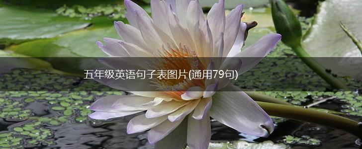 五年级英语句子表图片(通用79句),第1张