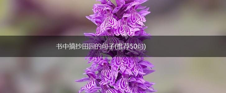 书中摘抄田园的句子(推荐50句),第1张