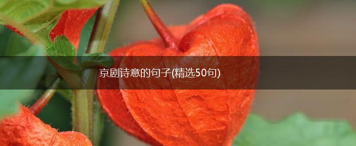 京剧诗意的句子(精选50句),第1张