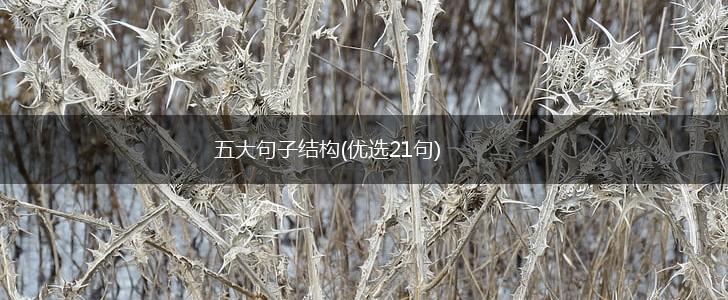 五大句子结构(优选21句),第1张