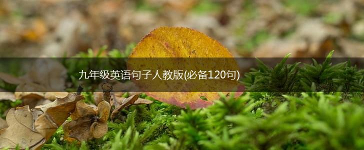 九年级英语句子人教版(必备120句),第1张