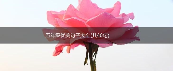 五年级优美句子大全(共40句),第1张