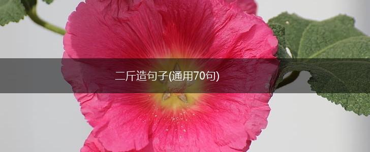 二斤造句子(通用70句),第1张