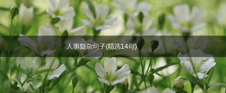 人事复杂句子(精选14句),第1张