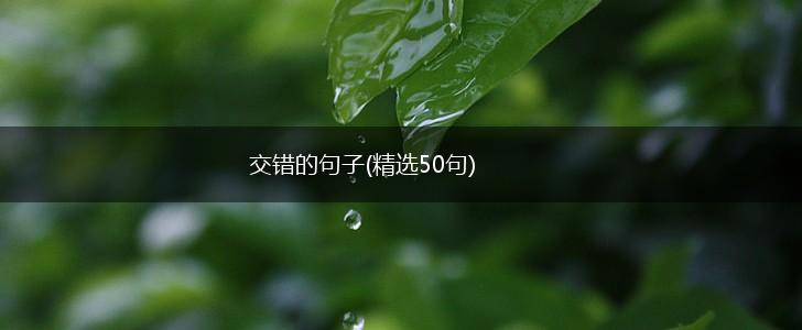 交错的句子(精选50句),第1张