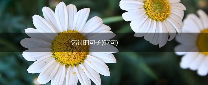 乞讨的句子(67句),第1张
