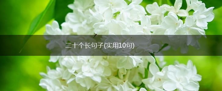 二十个长句子(实用10句),第1张