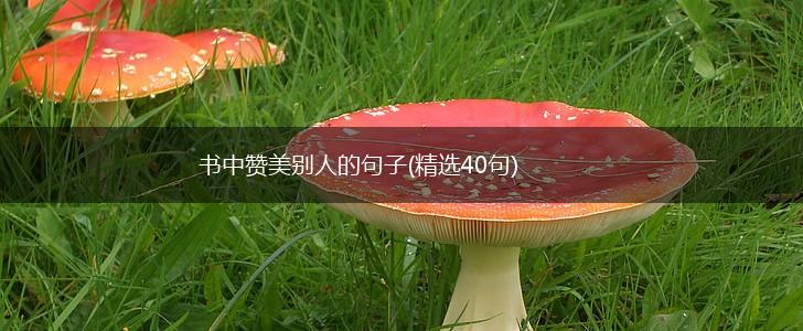 书中赞美别人的句子(精选40句),第1张