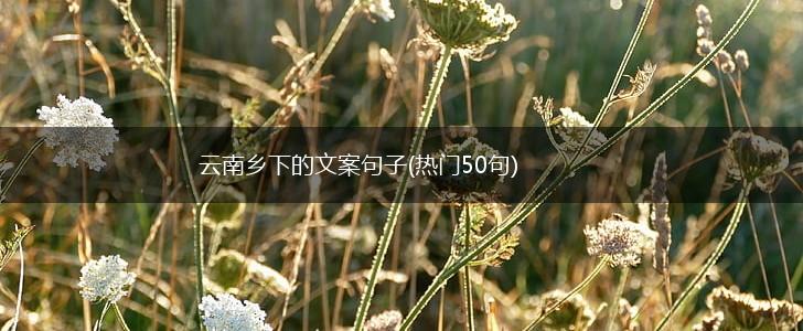 云南乡下的文案句子(热门50句),第1张