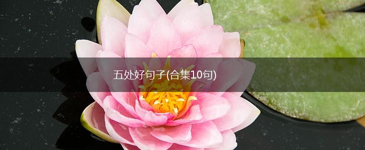 五处好句子(合集10句),第1张