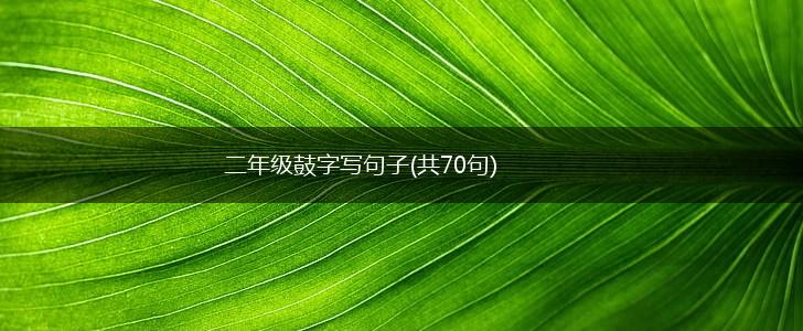 二年级鼓字写句子(共70句),第1张