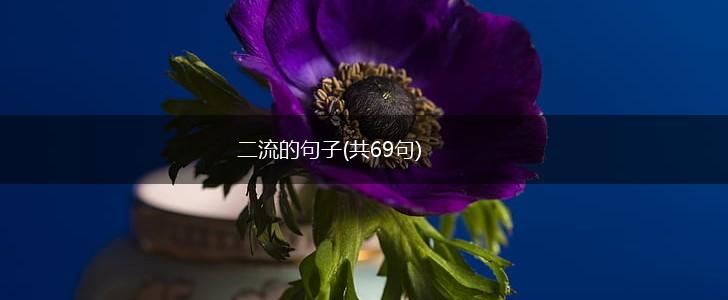 二流的句子(共69句),第1张