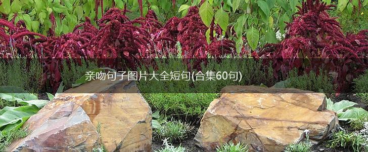 亲吻句子图片大全短句(合集60句),第1张