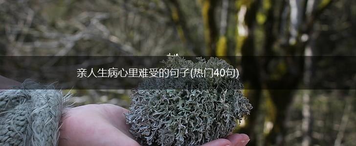 亲人生病心里难受的句子(热门40句),第1张
