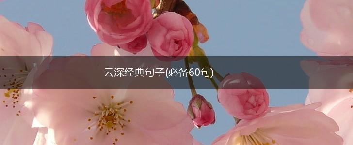 云深经典句子(必备60句),第1张