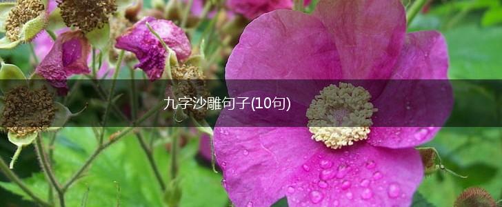 九字沙雕句子(10句),第1张