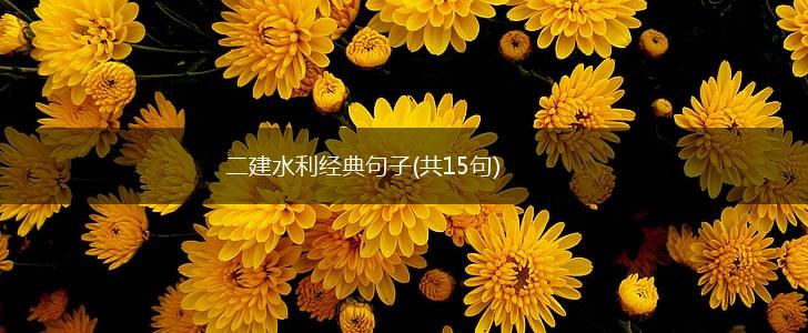 二建水利经典句子(共15句),第1张