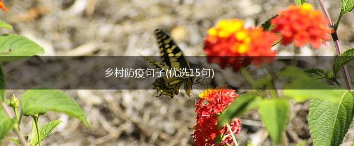 乡村防疫句子(优选15句),第1张