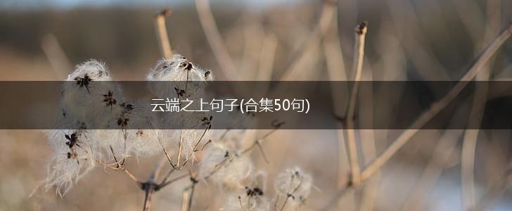 云端之上句子(合集50句),第1张