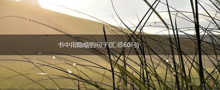 书中用隐喻的句子(汇总60句),第1张