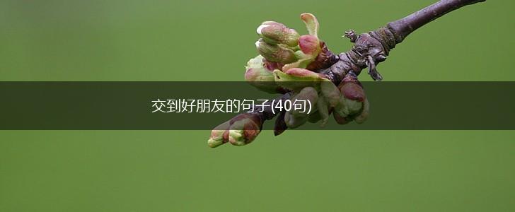 交到好朋友的句子(40句),第1张