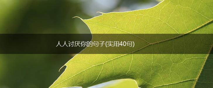 人人讨厌你的句子(实用40句),第1张