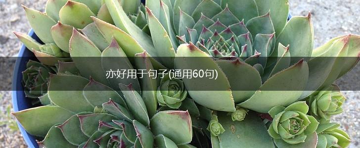 亦好用于句子(通用60句),第1张