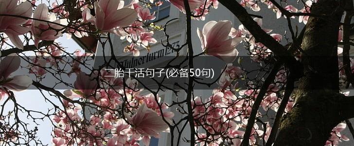 二胎干活句子(必备50句),第1张