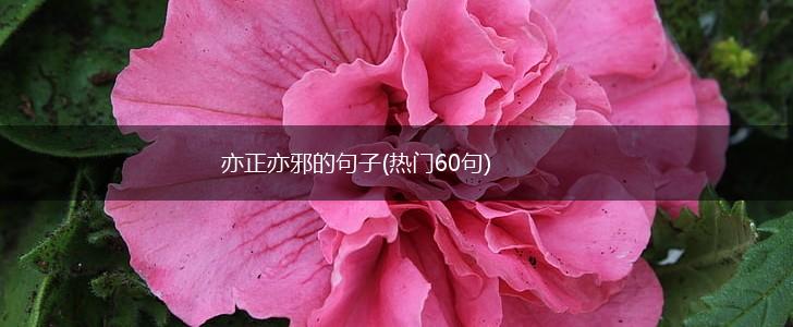 亦正亦邪的句子(热门60句),第1张