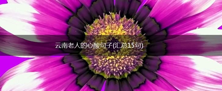 云南老人的心酸句子(汇总15句),第1张