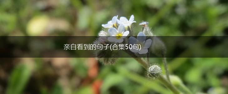 亲自看到的句子(合集50句),第1张