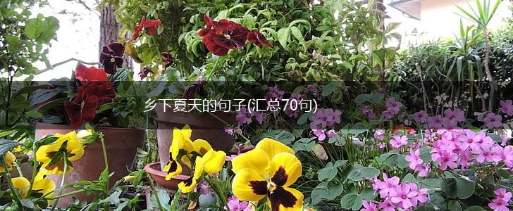 乡下夏天的句子(汇总70句),第1张