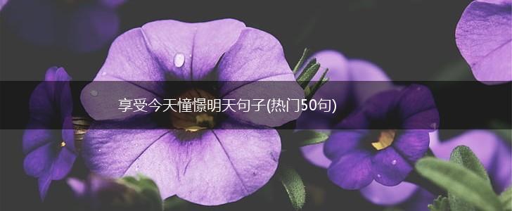 享受今天憧憬明天句子(热门50句),第1张