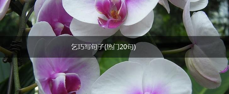 乞巧写句子(热门20句),第1张