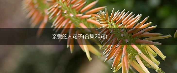 亲爱的人句子(合集20句),第1张