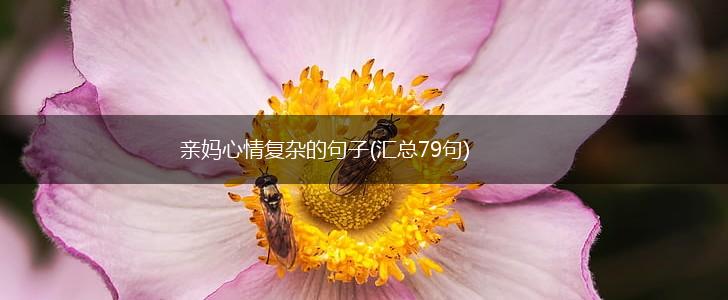 亲妈心情复杂的句子(汇总79句),第1张