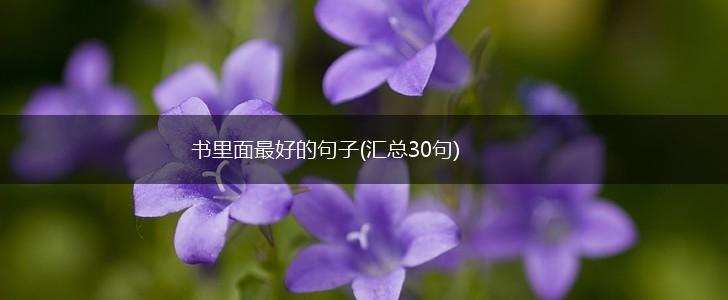 书里面最好的句子(汇总30句),第1张