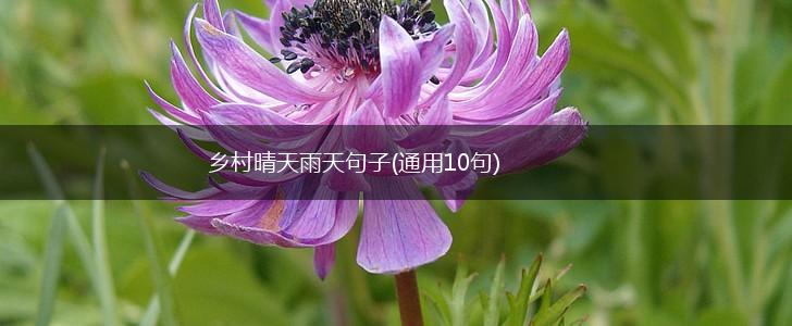 乡村晴天雨天句子(通用10句),第1张