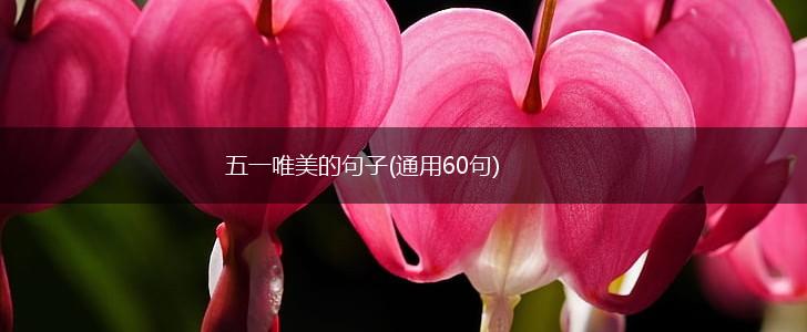 五一唯美的句子(通用60句),第1张
